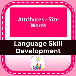 Attributes - Size Words